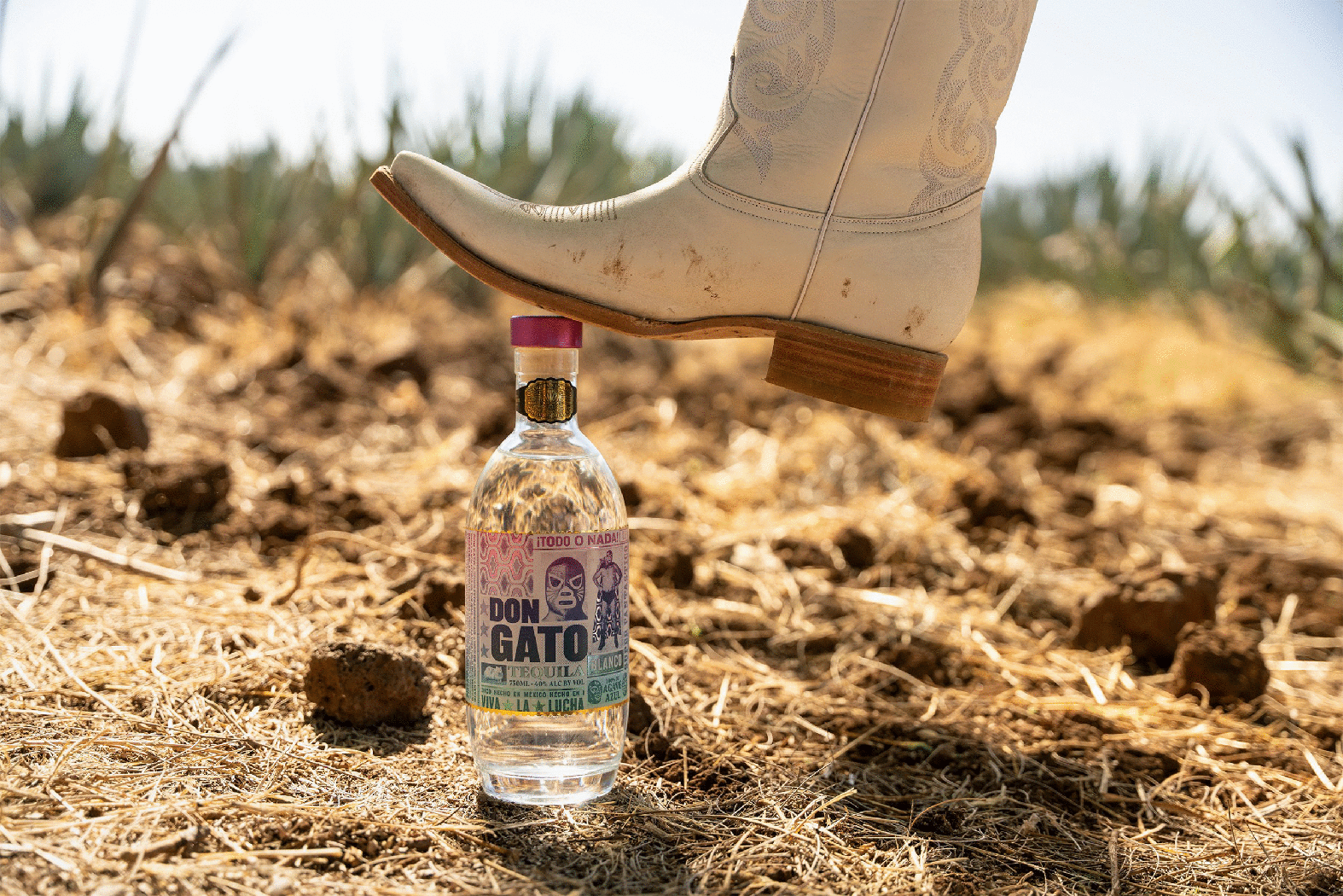 Don Gato Blanco Tequila - Image 3