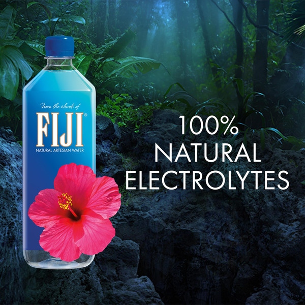 FIJI Natural Artesian Water - Image 4