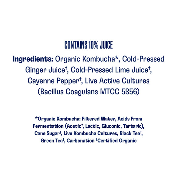 Health-Ade Kombucha, Cayenne Cleanse - Image 6