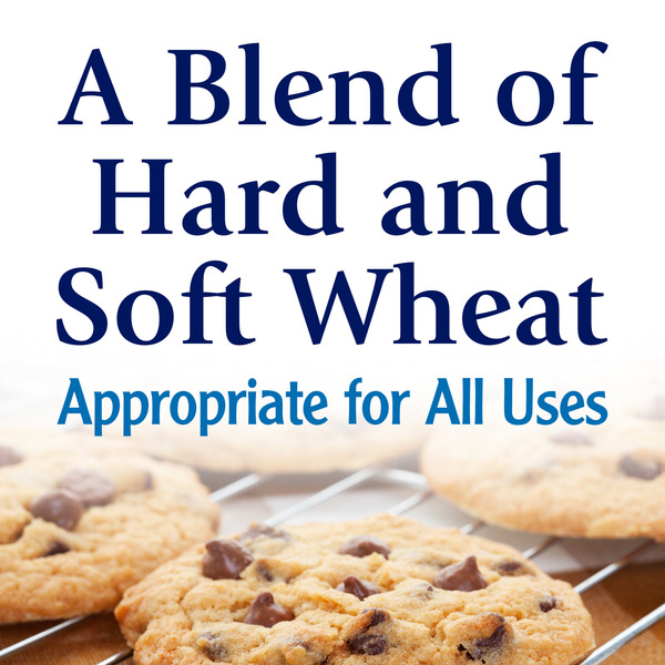 Pillsbury Best Bleached All Purpose Flour, 5 lb Bag - Image 2