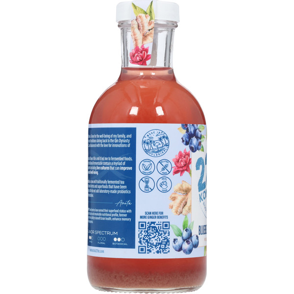 221B.C. Kombucha, Blueberry + Ginger, Rise and Glow - Image 3