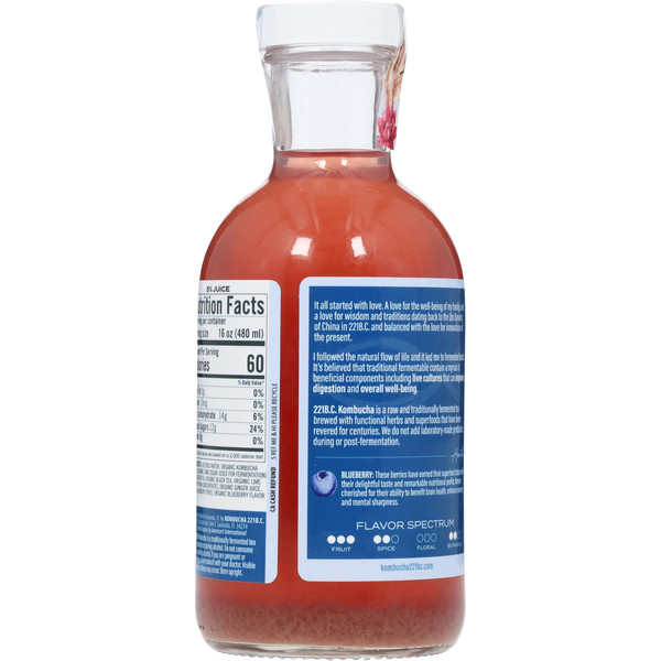 221B.C. Kombucha, Blueberry + Ginger, Rise and Glow - Image 2