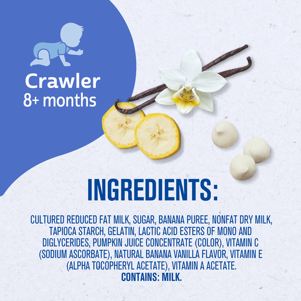 Gerber Stage 3 Baby Food Snacks Banana Vanilla Yogurt Melts Baby Led Feeding - Image 8