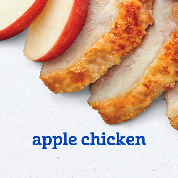 Gerber Apples & Chicken Nutritious Dinner 2nd Foods - Image 2