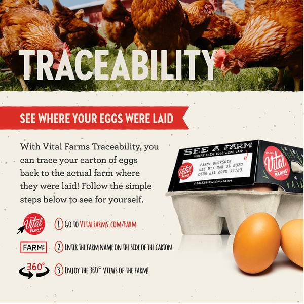 Vital Farms 18 ct Pasture Raised Large Grade A Eggs - Image 3
