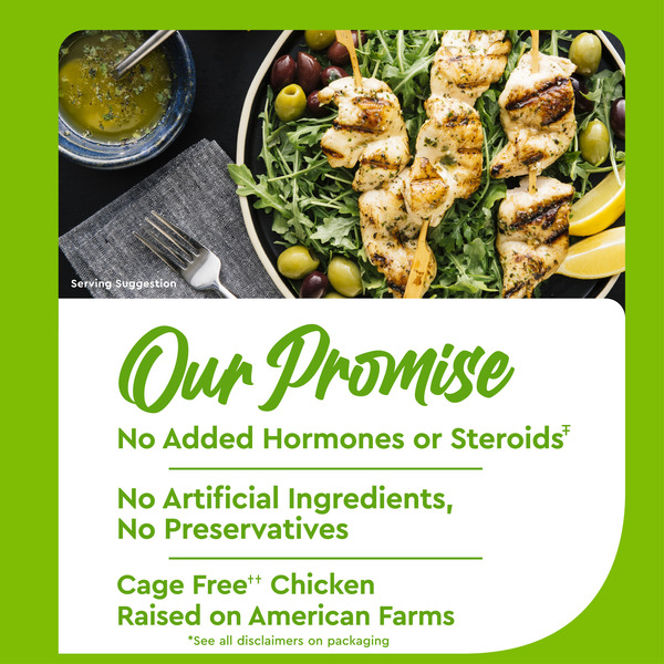 Just Bare Brand Chicken Tenderloins, Boneless, Skinless - Image 3