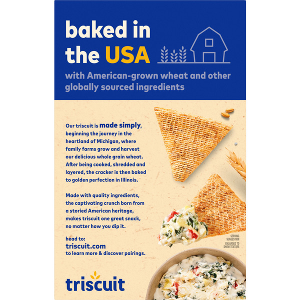 TRISCUIT Thin Crisps Parmesan Garlic Whole Grain Wheat Crackers, Lunch Snacks 7 oz - Image 4