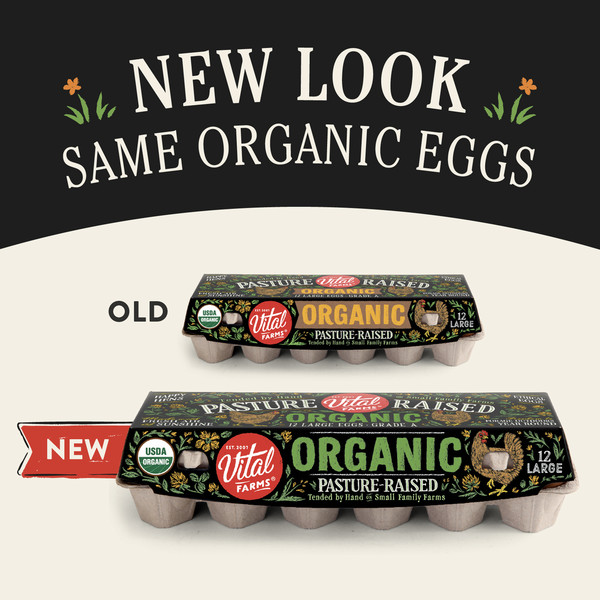 Vital Farms Organic Pasture Raised Large Grade A Eggs - Image 2