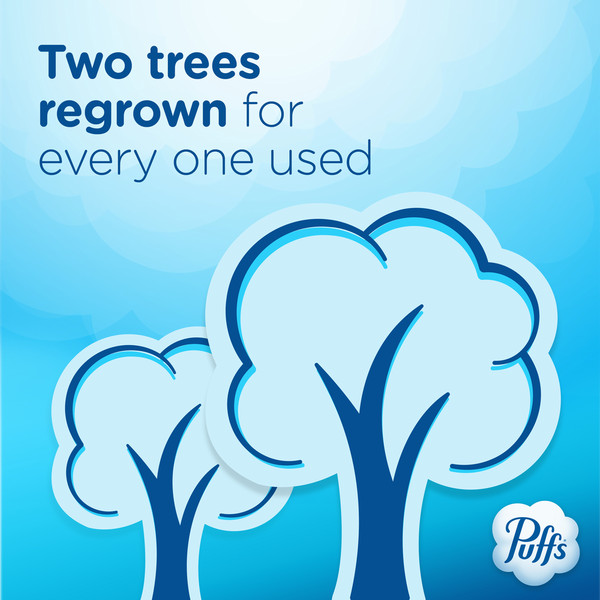 Puffs Ultra Soft Facial Tissues, Family Box - Image 10