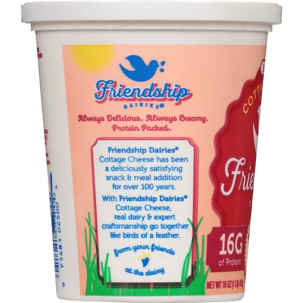 Friendship Dairies Cottage Cheese, Low Fat, No Salt Added, Small Curd, 1% Milkfat - Image 2