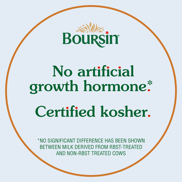 Boursin Spreadable Gourmet Caramelized Onion & Herbs Cheese - Image 5