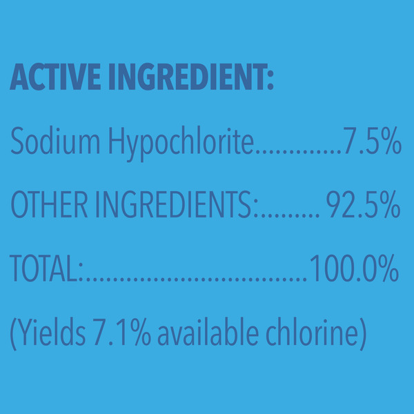 Clorox Disinfecting Bleach, Concentrated Formula, Regular - Image 3