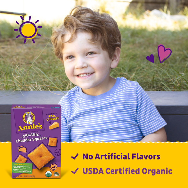 Annie's Organic Cheddar Squares Baked Cracker Snacks - Image 3