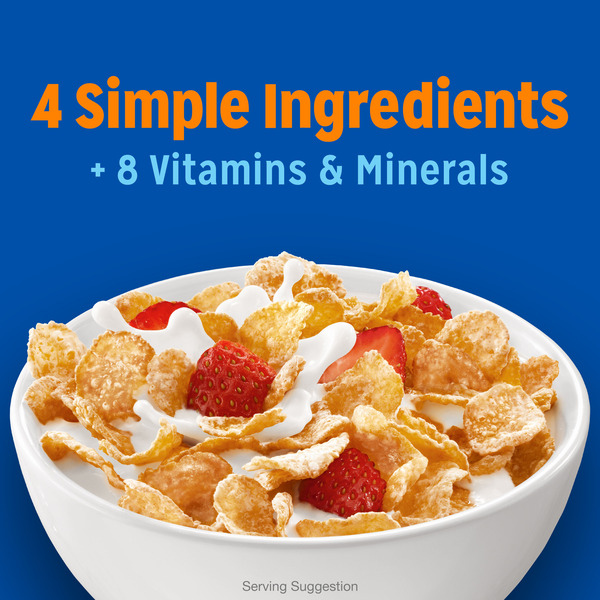 Frosted Flakes Breakfast Cereal, Fat Free, Family Size - Image 2
