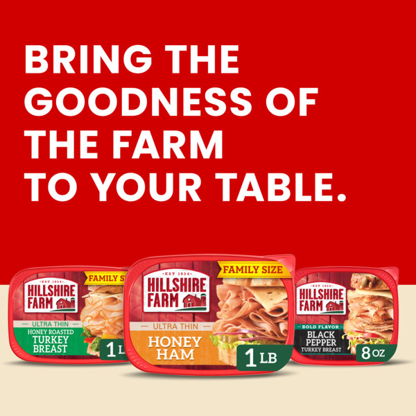Hillshire Farm Ultra Thin Sliced Honey Ham Sandwich Meat, 16 oz - Image 2