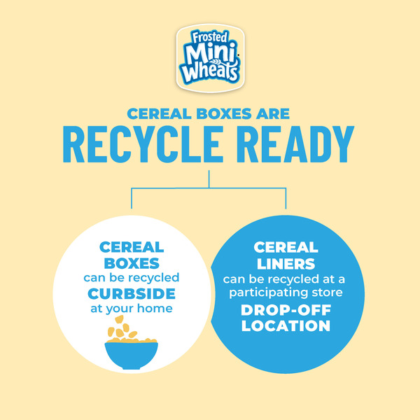 Frosted Mini-Wheats Frosted Mini-Wheats Breakfast Cereal, High Fiber, 48g Whole Grain, Family Size - Image 6