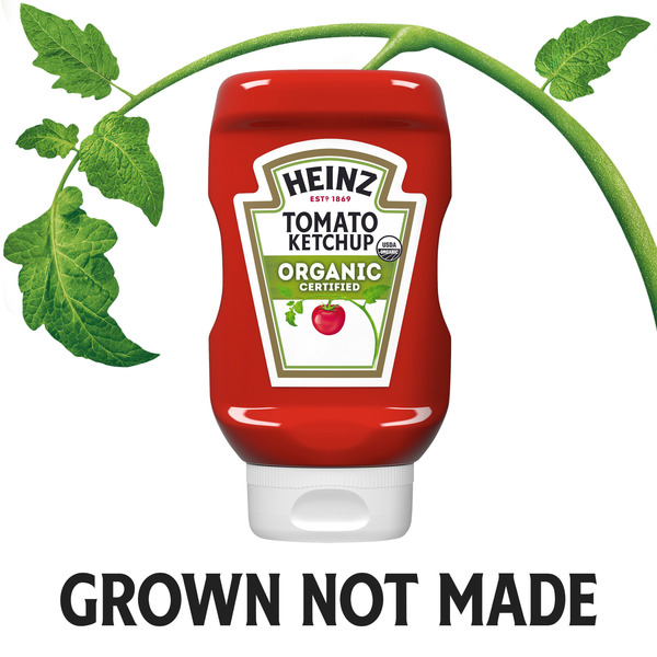 Heinz Organic Tomato Ketchup - Image 4