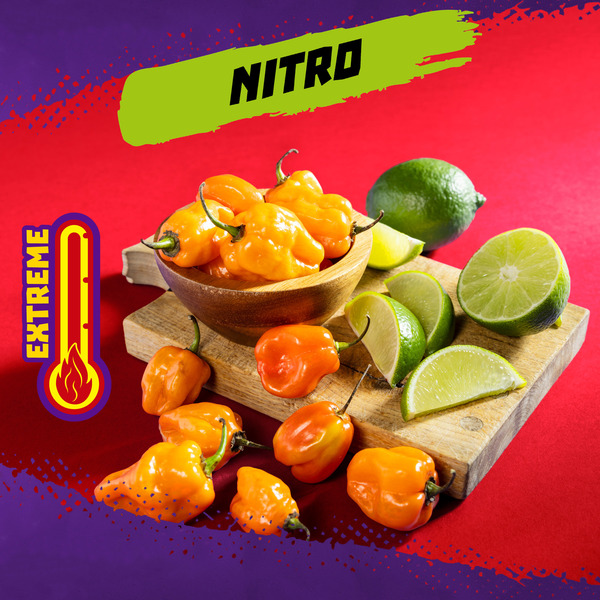 Takis Nitro 9.9 oz Sharing Size Bag, Habanero & Lime Flavored Extreme Spicy Rolled Tortilla Chips - Image 2