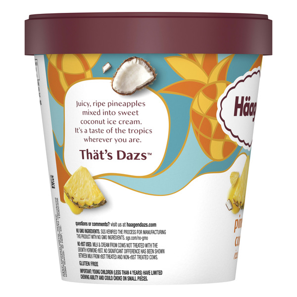 Haagen-Dazs Pineapple Coconut Ice Cream - Image 5
