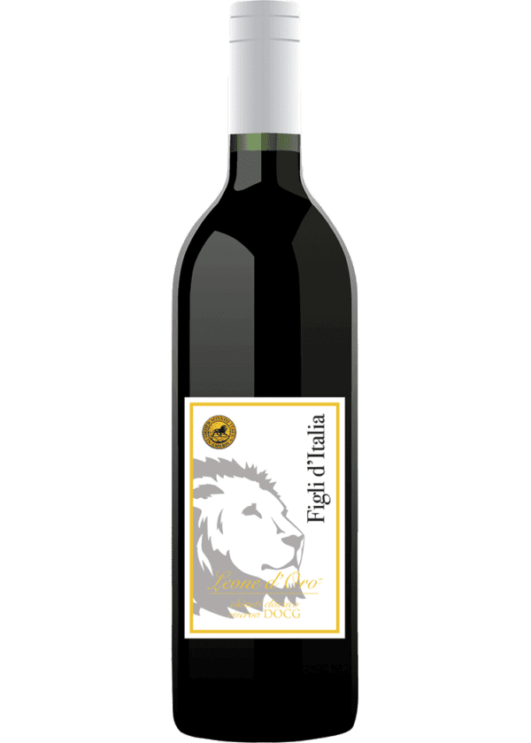 Leone D'Oro Chianti Classico Rsv