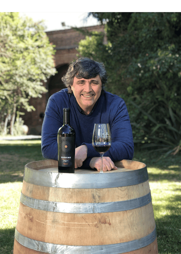 Mascota Vineyards Unanime Cabernet, 2018 - Image 4