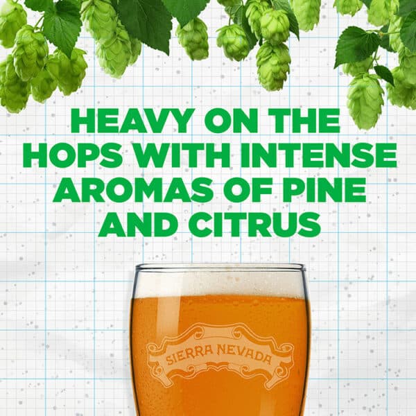 Sierra Nevada Pale Ale - Image 2