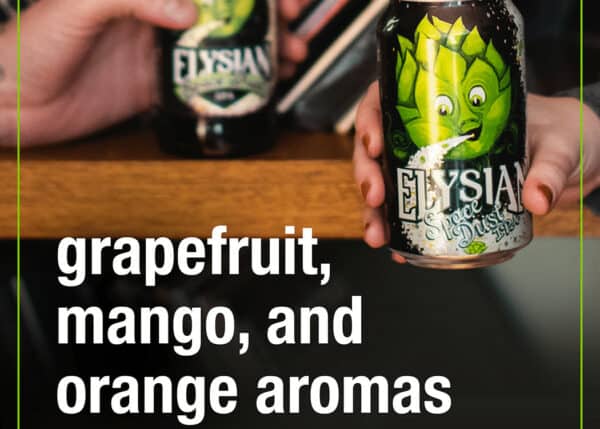 Elysian Space Dust IPA - Image 2