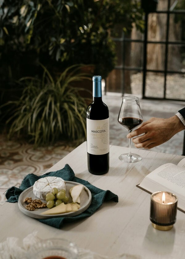 Mascota Vineyards La Mascota Cabernet Sauvignon - Image 2