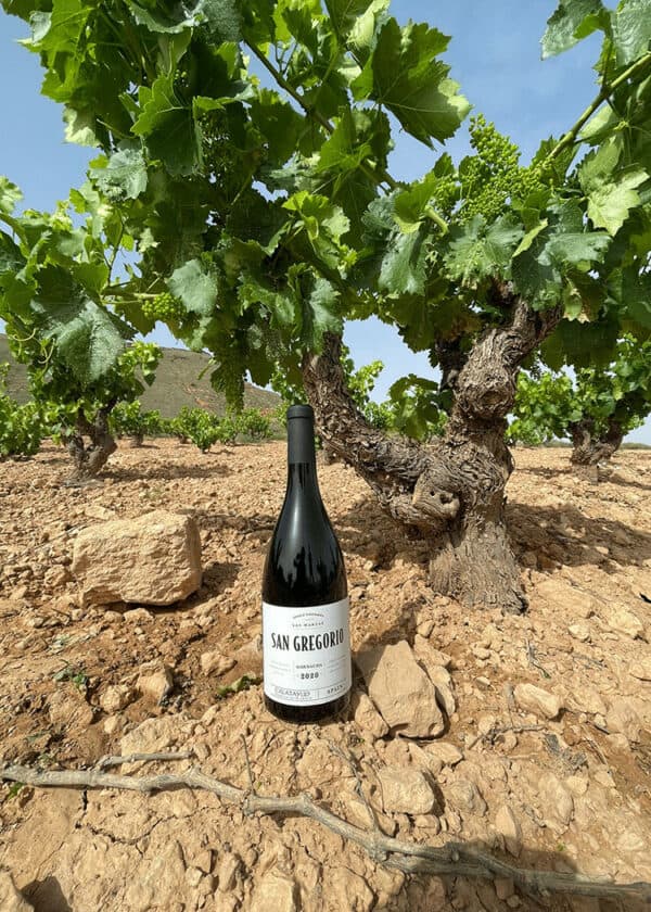 San Gregorio Single Vineyard Las Martas Garnacha, 2020 - Image 2