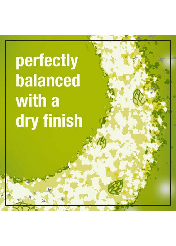 Elysian Space Dust IPA - Image 3