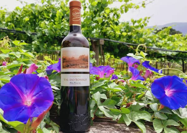 Val Do Sosego Albarino Rias Baixas, 2022 - Image 2