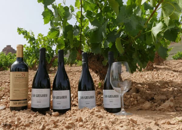 San Gregorio El Vergal Tempranillo, 2020 - Image 2