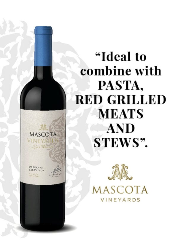 Mascota Vineyards La Mascota Cabernet Sauvignon - Image 4