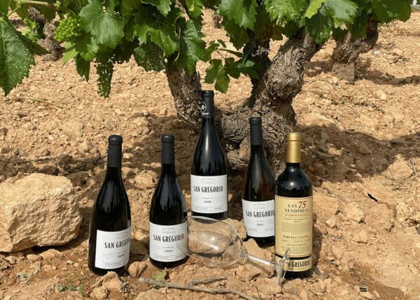 San Gregorio Las 75 Vendimias Garnacha Tempranillo, 2020 - Image 2