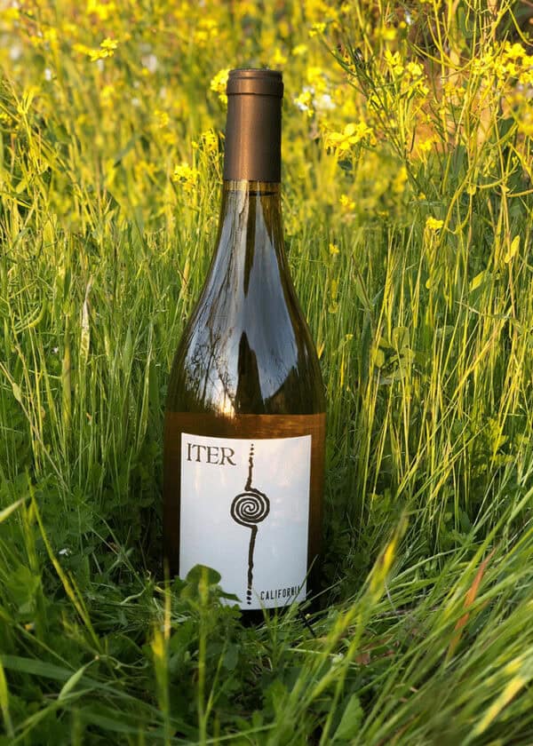 Iter Chardonnay California - Image 4