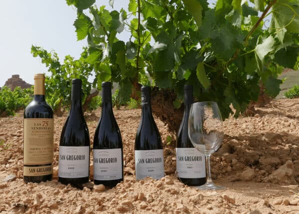 San Gregorio Single Vineyard Las Martas Garnacha, 2020 - Image 3