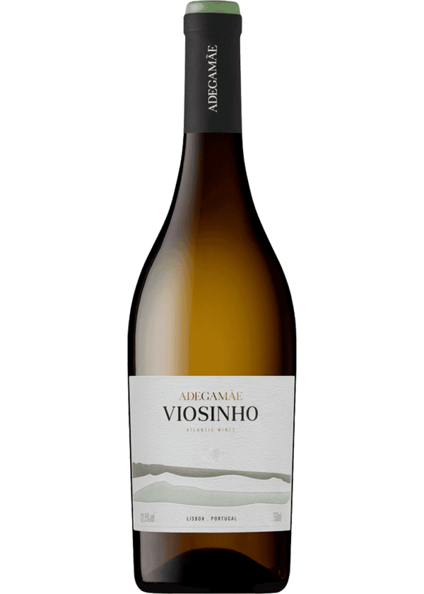 Adegamae Lisboa Viosinho, 2021