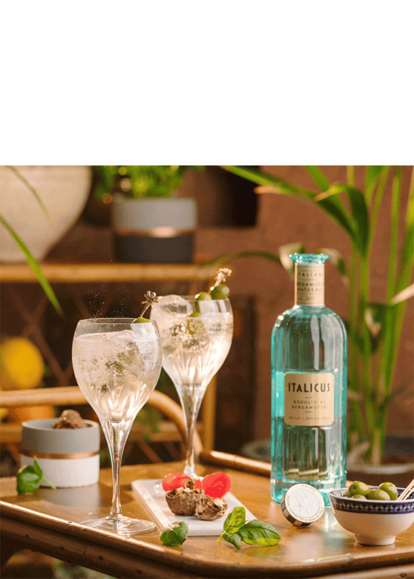 Italicus - Image 3