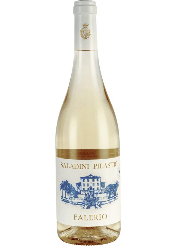 Saladini Pilastri Falerio, 2021