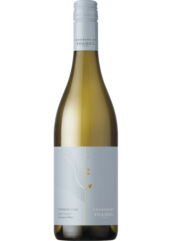 Common Vine Craiglochart Vineyard Waihopai Valley Sauvignon Blanc, 2022