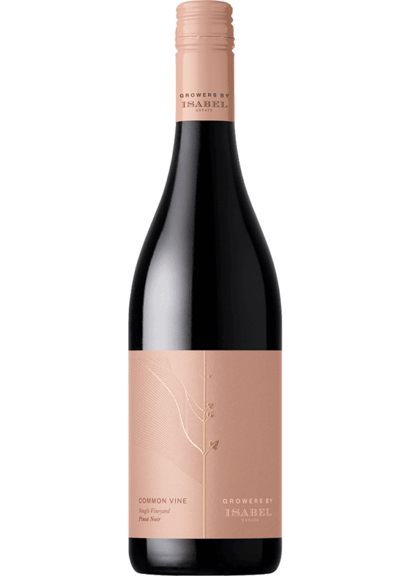 Common Vine Raupo Vineyard Omaka Valley Pinot Noir, 2022