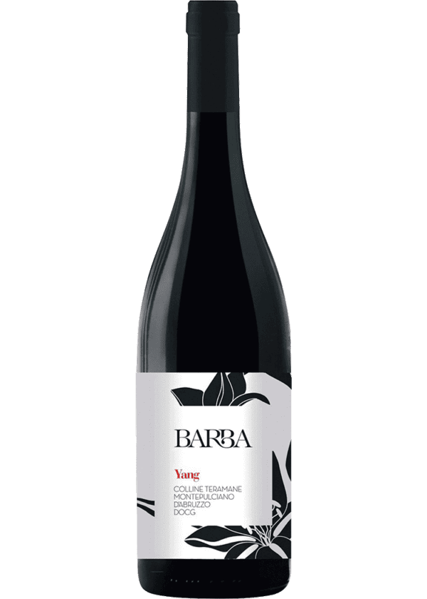 Barba Montepulciano d'Abruzzo Yang, 2020