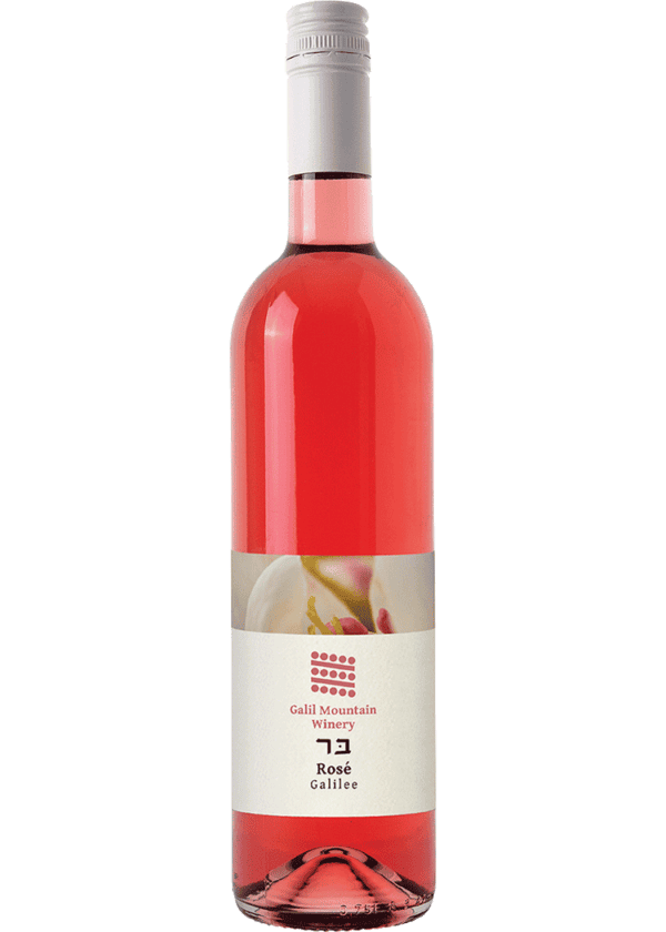 GALIL ROSE