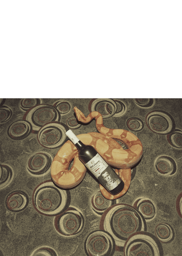 19 Crimes Cabernet Sauvignon - Image 3