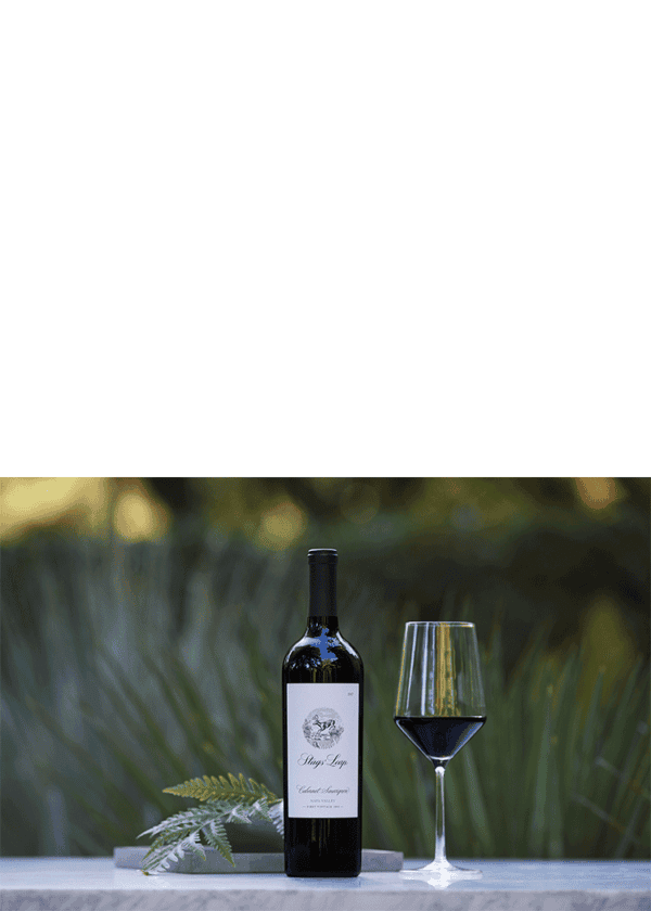 Stags' Leap Cabernet Sauvignon Napa - Image 2
