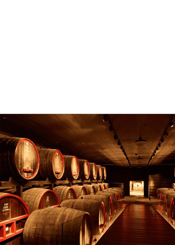 Penfolds Cabernet Bin 407, 2019 - Image 2