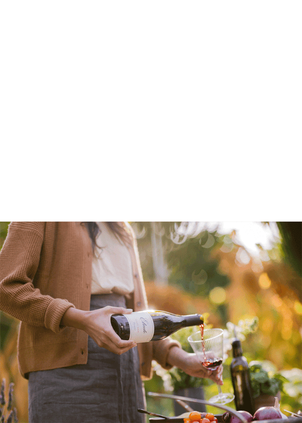 Etude Pinot Noir Carneros, 2019 - Image 2